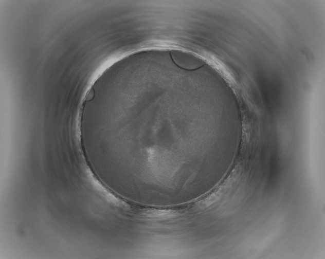 X0000113141382200909041159