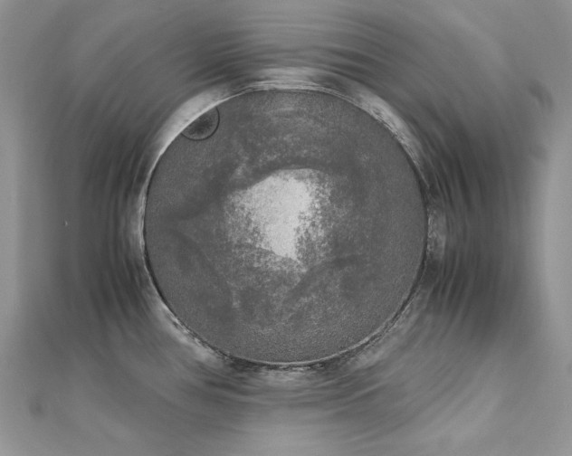 X0000113141386200909041159