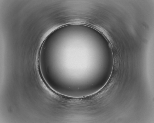 X0000113141387200909041159