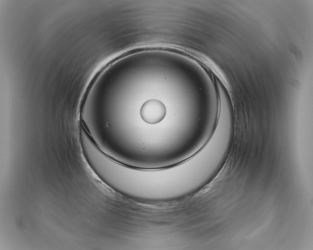 X0000113141388200909041159