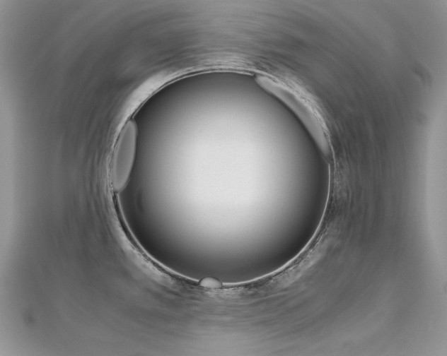 X0000113141389200909041159