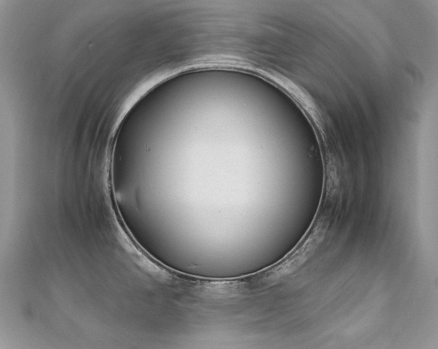X0000113141390200909041159