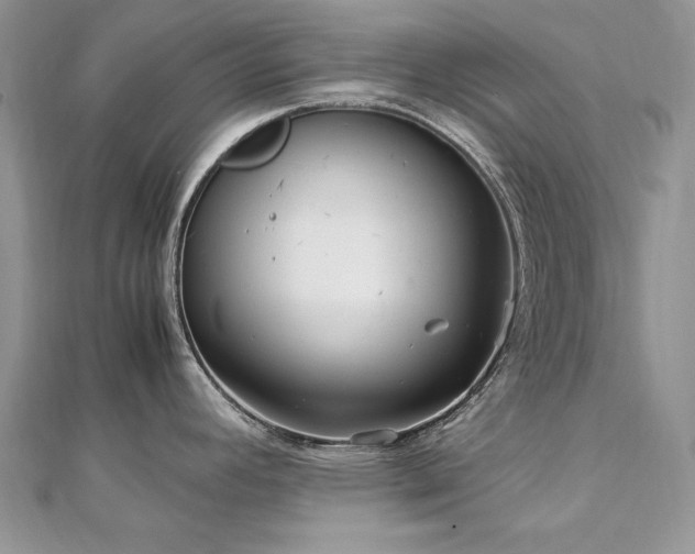 X0000113141392200909041159