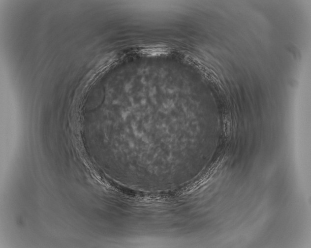 X0000113141393200909041158