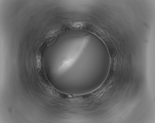 X0000113141394200909041158