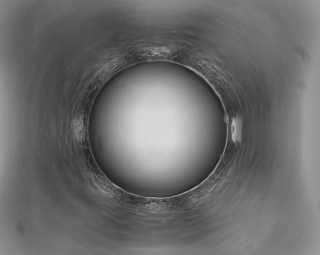 X0000113141395200909041158