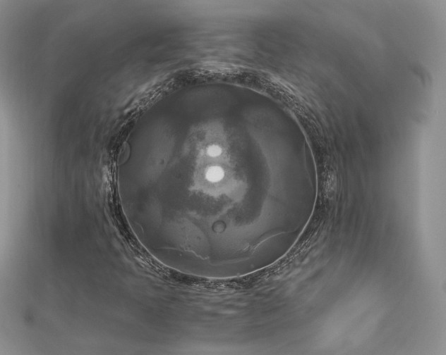 X0000113141397200909041158