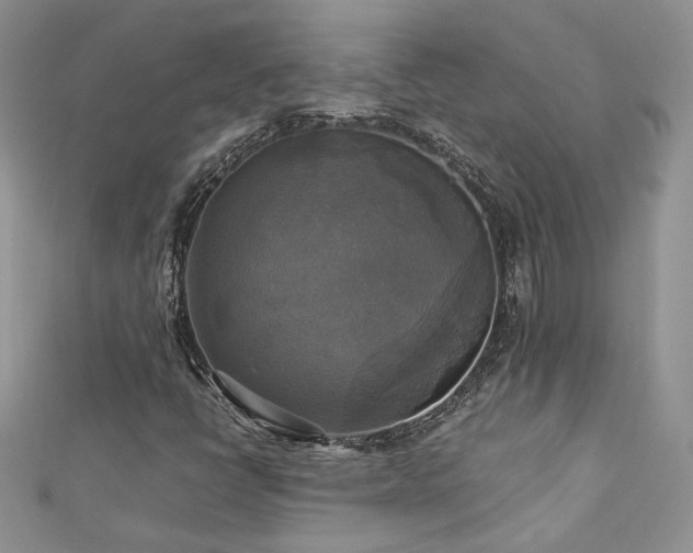 X0000113141398200909041158