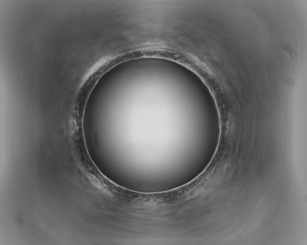 X0000113141400200909041158