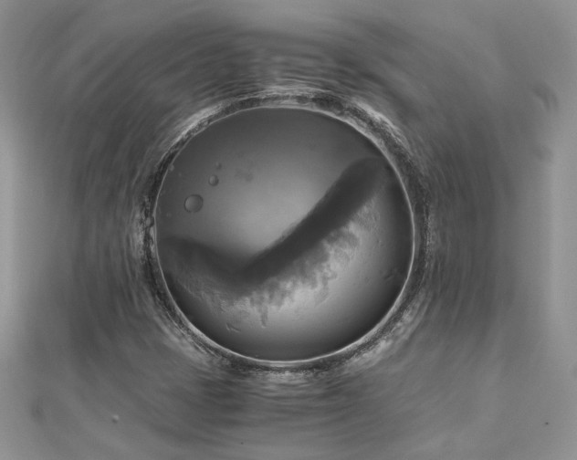 X0000113141401200909041158