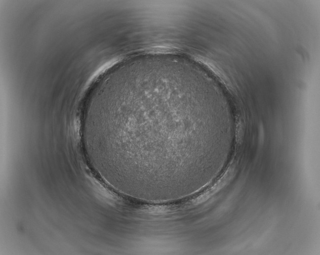 X0000113141402200909041158