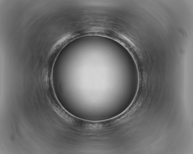 X0000113141403200909041158
