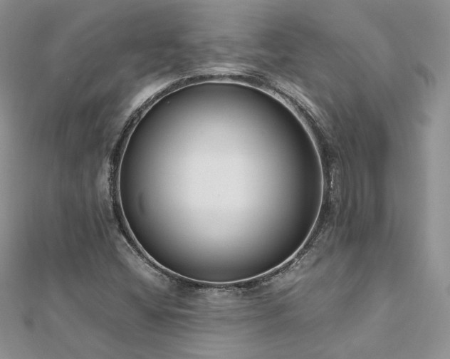 X0000113141404200909041158