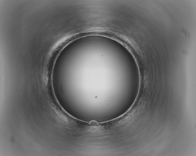 X0000113141406200909041158