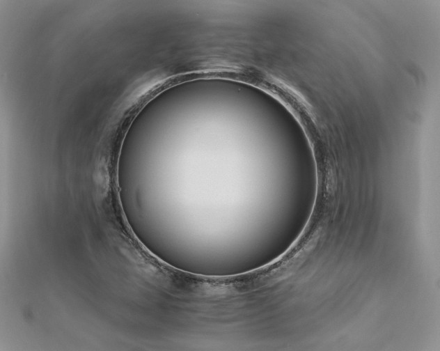 X0000113141407200909041158