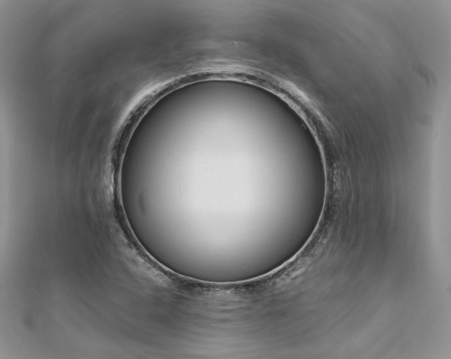 X0000113141408200909041158