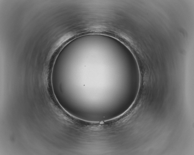 X0000113141410200909041158