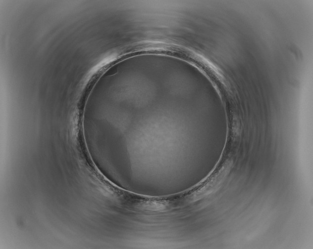 X0000113141411200909041158