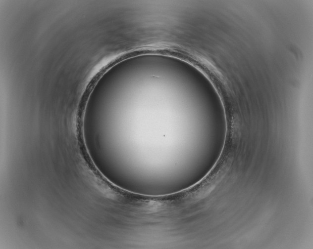 X0000113141412200909041158