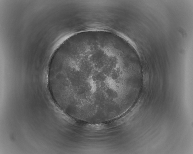X0000113141415200909041158