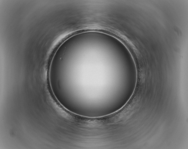 X0000113141416200909041158