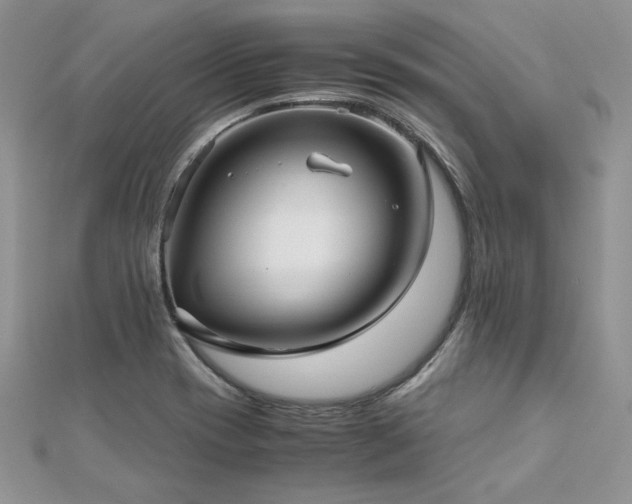 X0000113141417200909041158