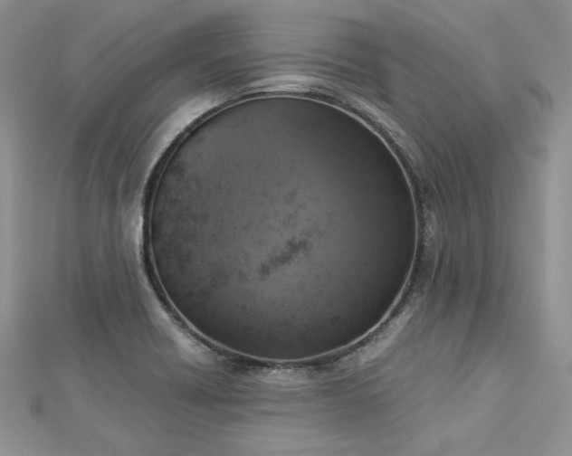 X0000113141418200909041158