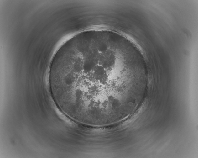 X0000113141421200909041159