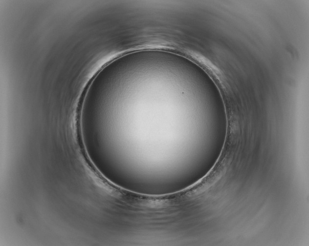 X0000113141423200909041159