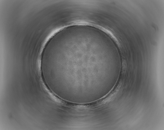 X0000113141424200909041159