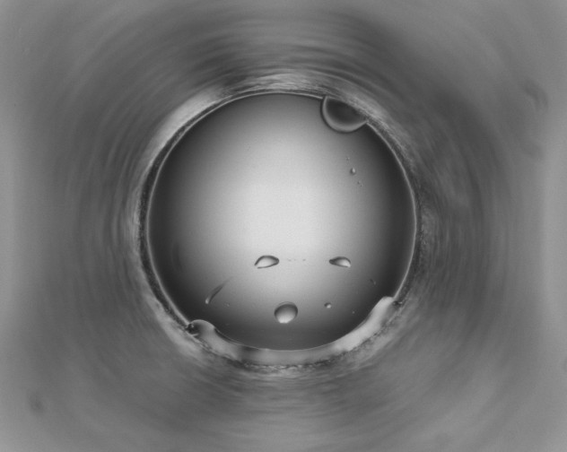 X0000113141426200909041159