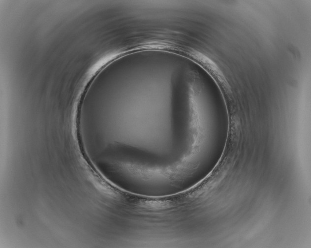 X0000113141427200909041159