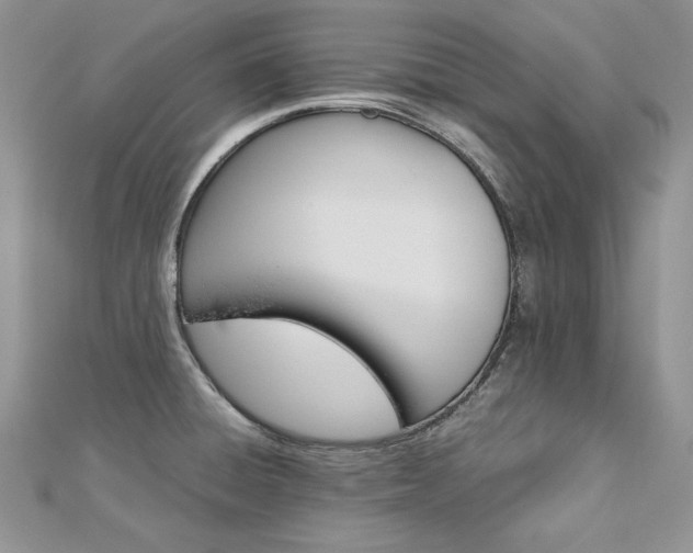 X0000113141428200909041159