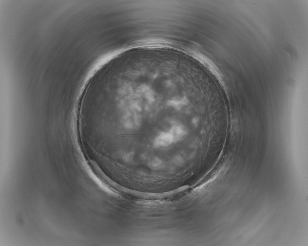 X0000113141429200909041159