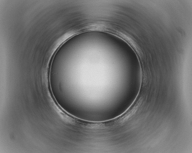 X0000113141434200909041159
