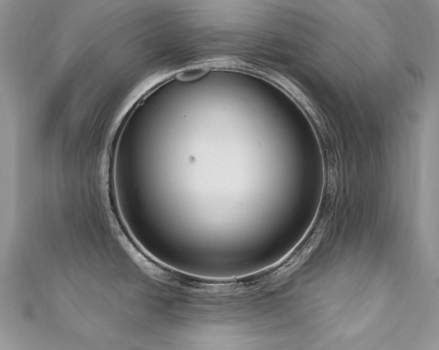 X0000113141438200909041159
