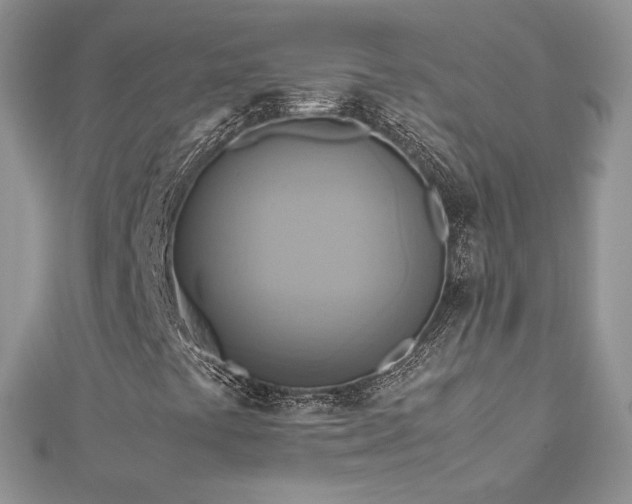 X0000113141441200909041158