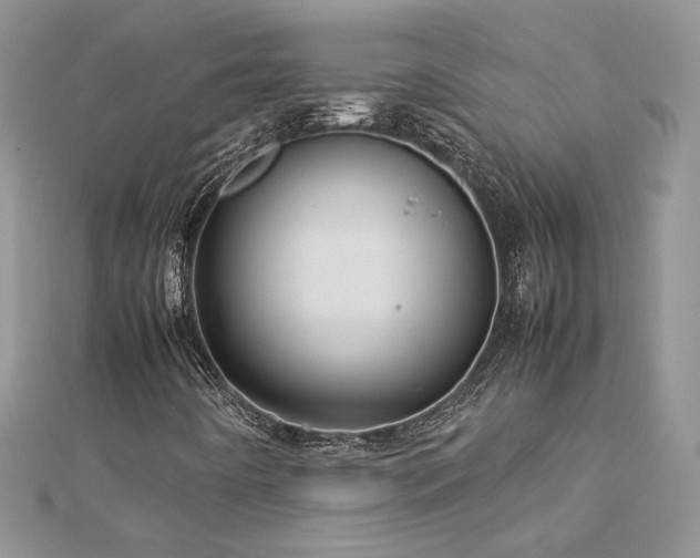 X0000113141442200909041158