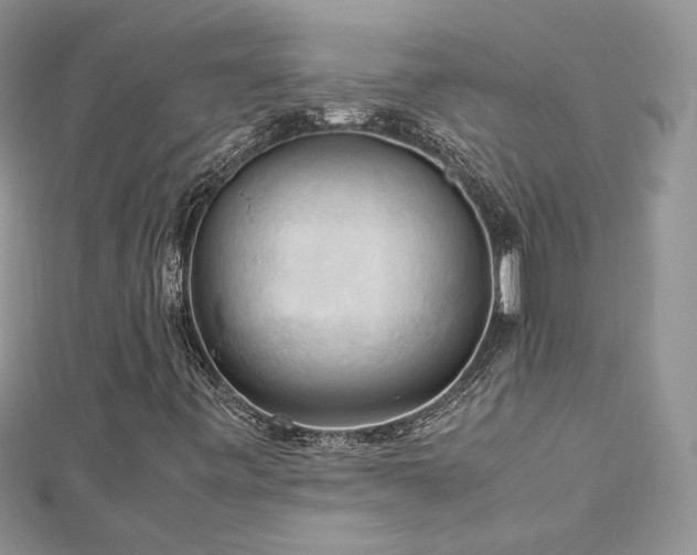 X0000113141443200909041158