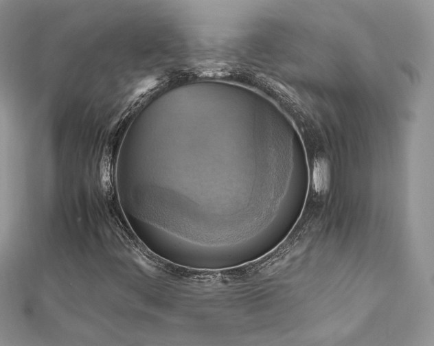 X0000113141444200909041158