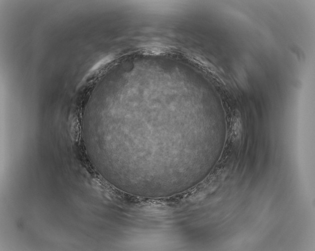 X0000113141446200909041158