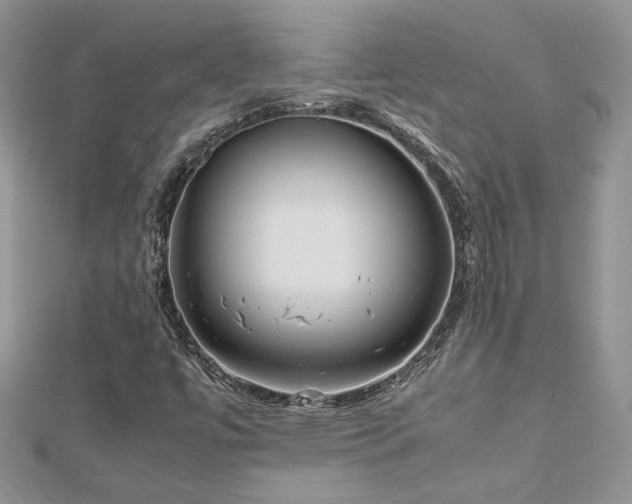 X0000113141447200909041158