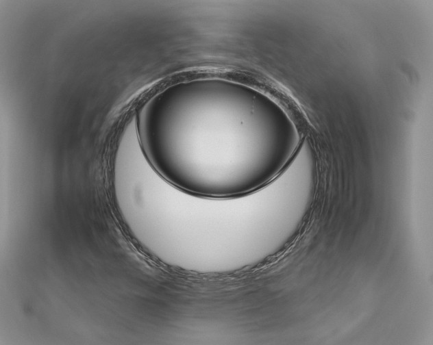 X0000113141448200909041158