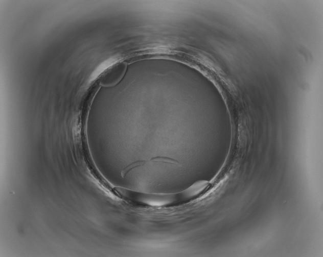 X0000113141450200909041158