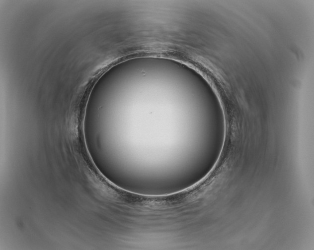 X0000113141451200909041158