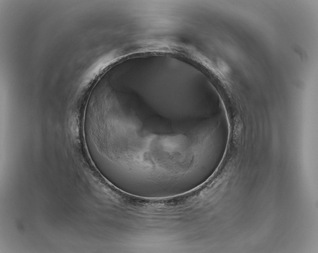X0000113141455200909041158