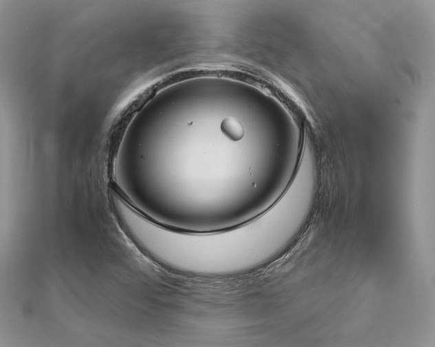 X0000113141456200909041158