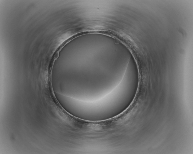 X0000113141457200909041158