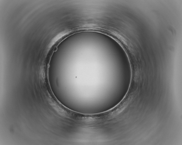 X0000113141458200909041158