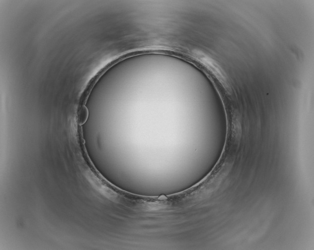 X0000113141460200909041158